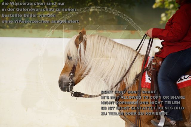 s_K3F07052.JPG